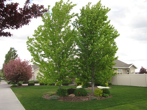 5th image of 330 Oaktrail Dr