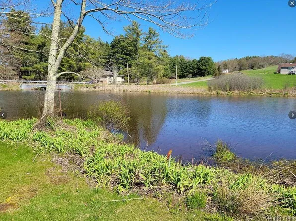 601 Briscoe Road, Bethel, NY 12783