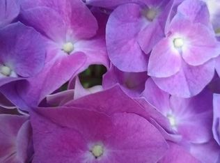 27 Allen Ave #3R, Pawtucket, RI 02860