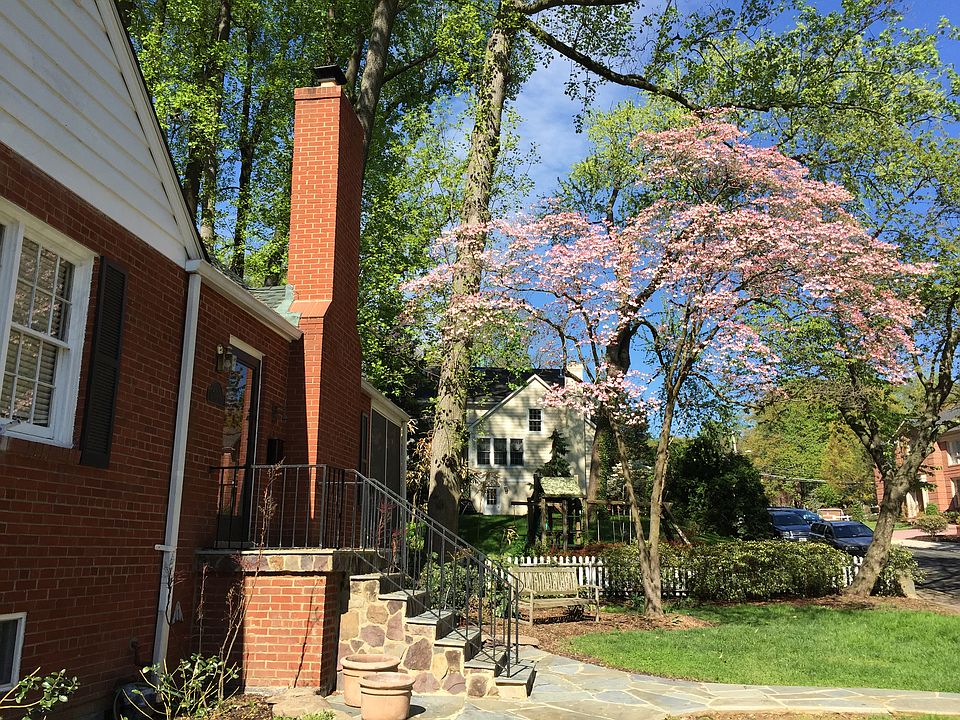 Springtime view