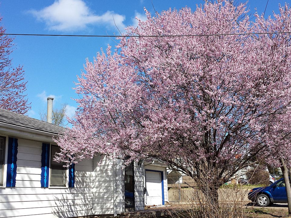 1st image of 722 N Forest Ave