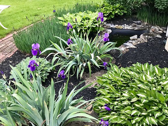 Easy to maintain garden