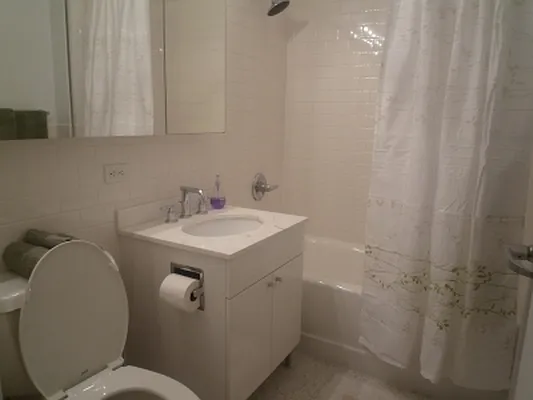 Rented by Citi Habitats | media 79