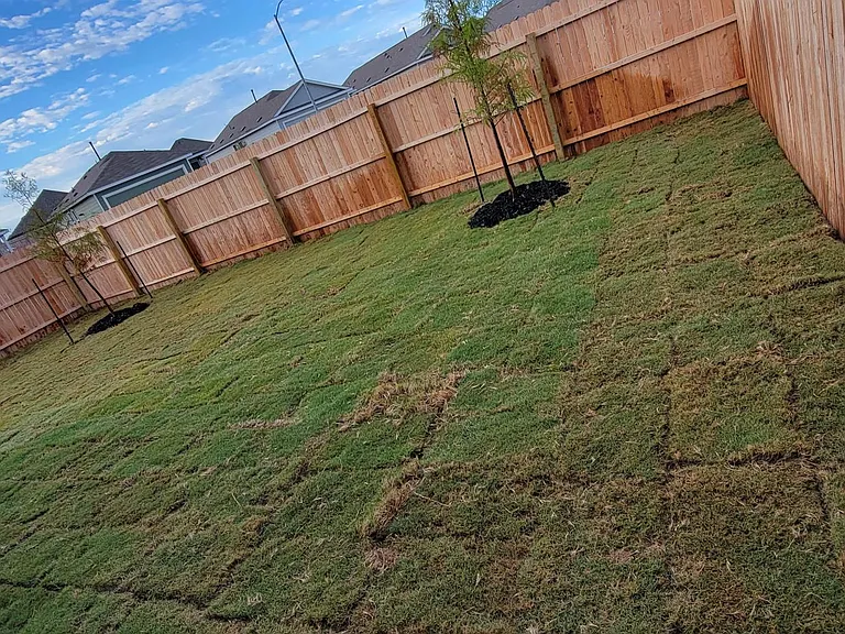 10111 Kersey Ml — Photo 12