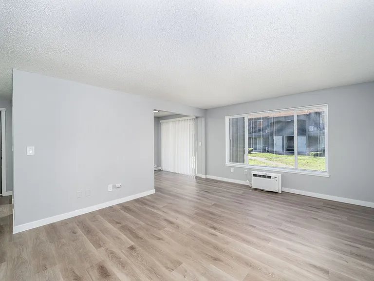Pine Tree Lane Apartments — Photo 24