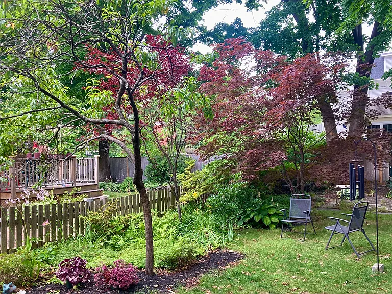 Lovingly curated large backyard with small patio