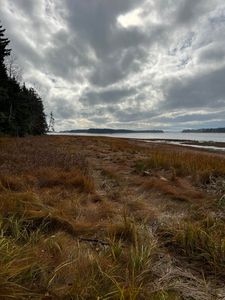 Lot 181 Rays Point Road, Milbridge, ME, 04658