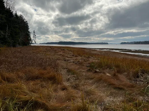 Lot 181 Rays Point Road, Milbridge, ME 04658