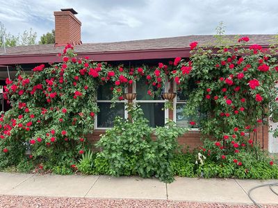 1112 E Tamarisk Dr, Saint George, UT, 84790