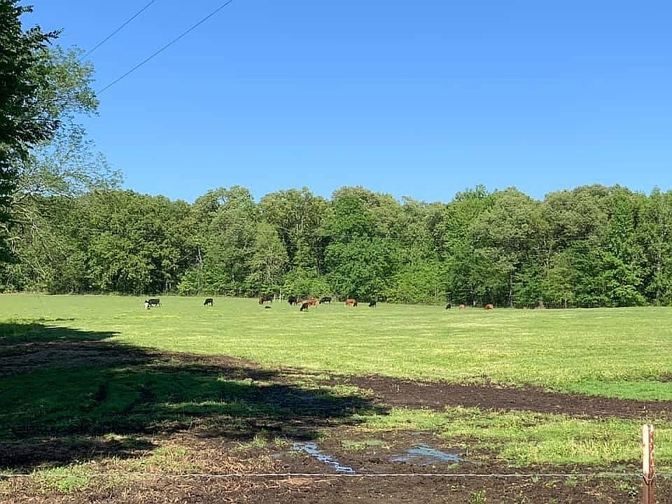 2nd image of 838 Lacebark Loop