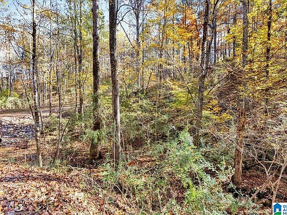 4th image of 0 Hammock Rd #0