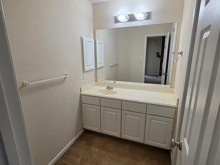 11507 Baldwin Spruce Trl — Photo 21