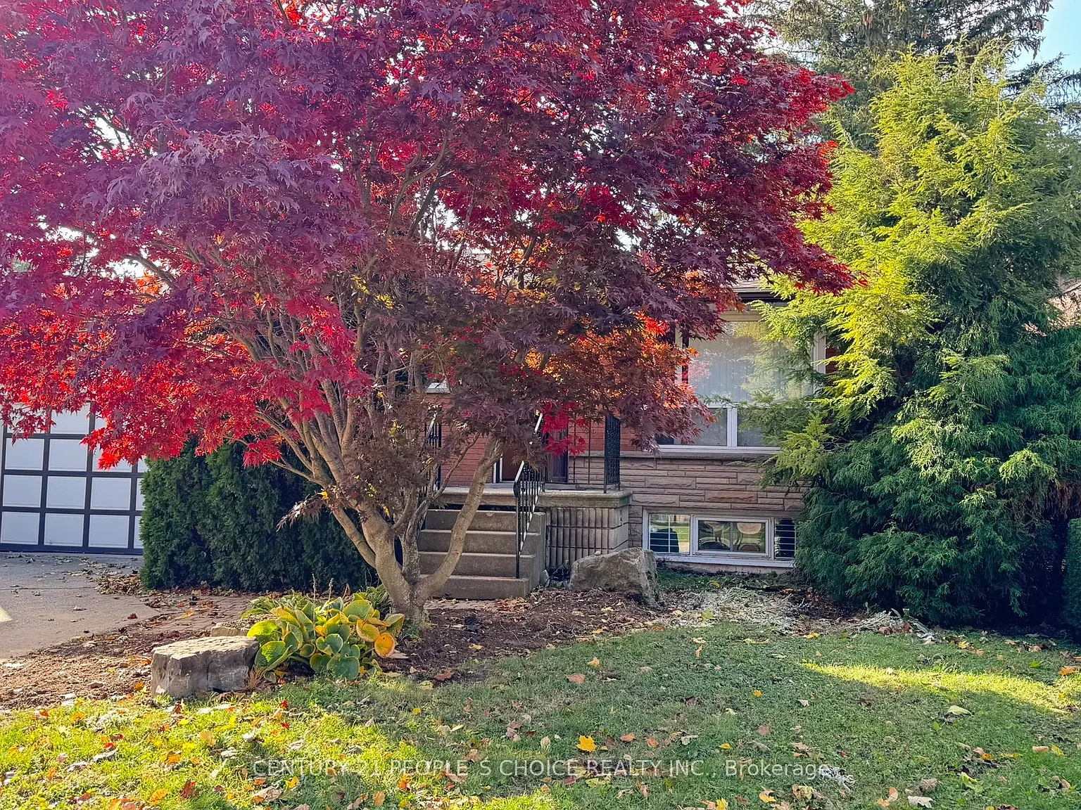 5 bed, $775 — Photo 3