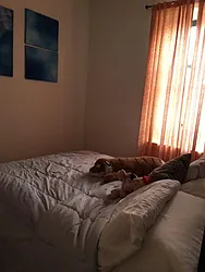 Rented by Manhattan Flats