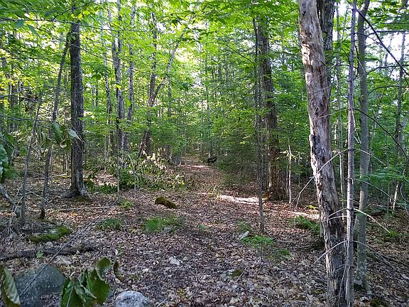 3rd image of E South Caribou Lake Rd