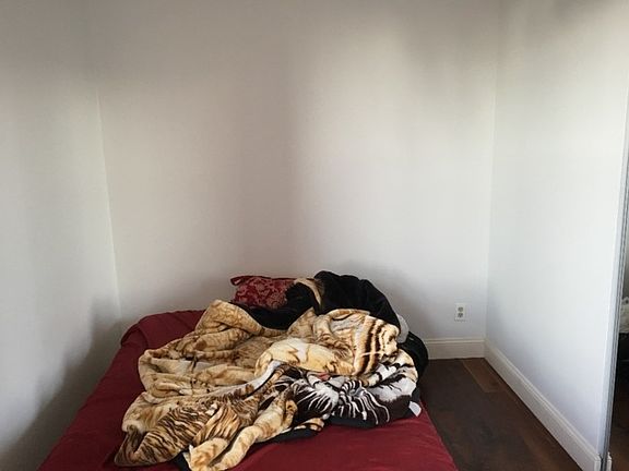 5th image of 3612 38th St APT 2