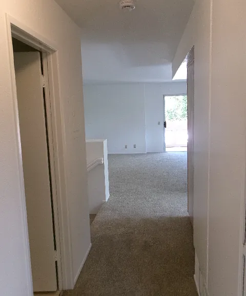 7111 Monique Ct — Photo 13