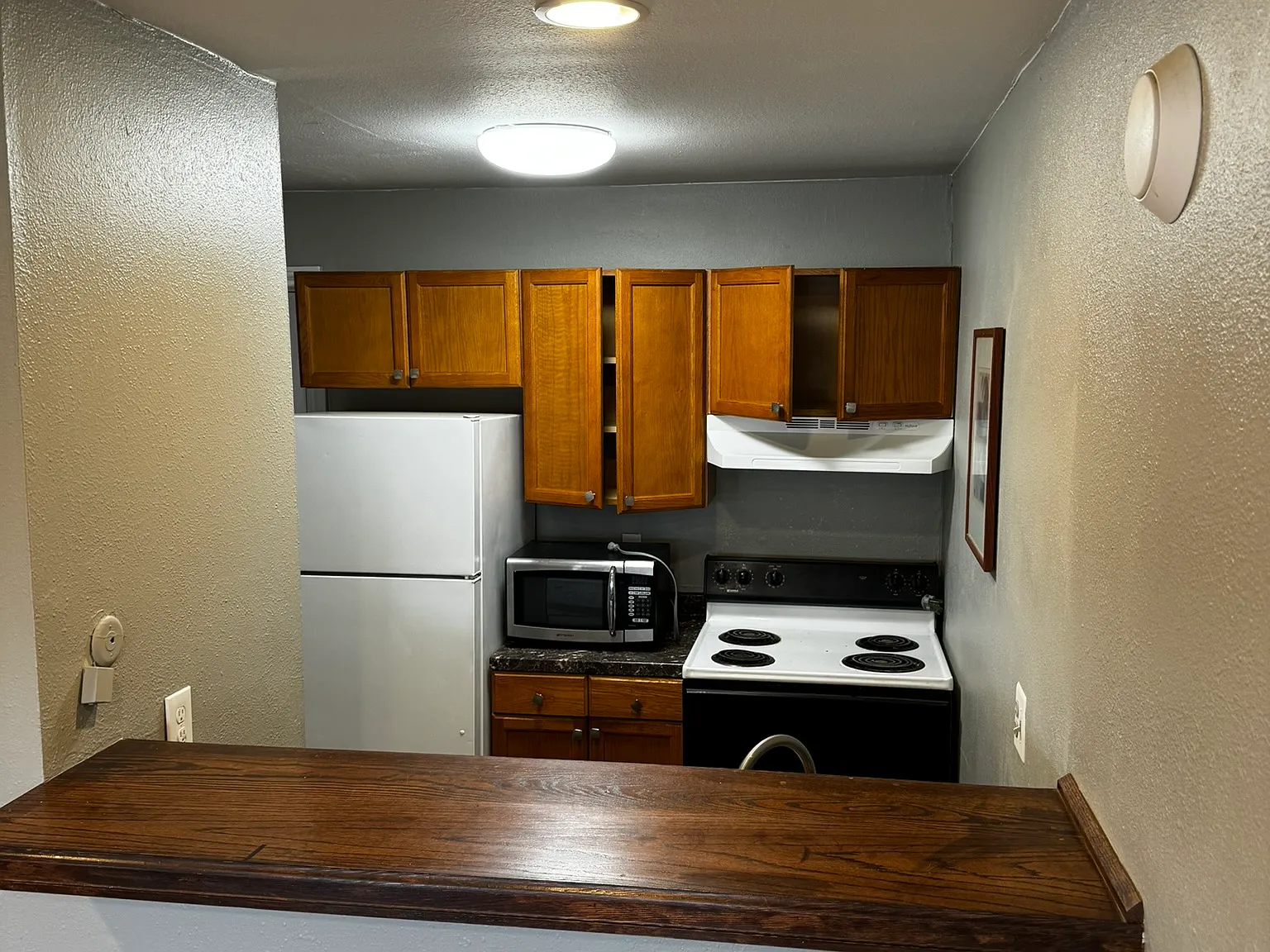 1 bed, 550 sqft, $1,350 — Photo 3