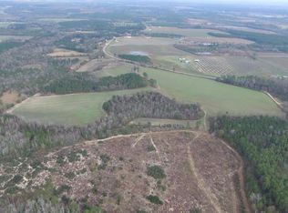 7456 Satilla Ch Rd SE, Baxley, GA 31513