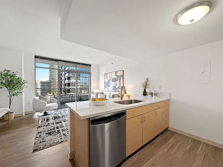 425 W Beech St #1502 — Photo 6