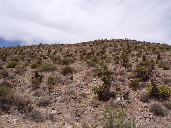 2 Lots, Dolan Springs, AZ 86441