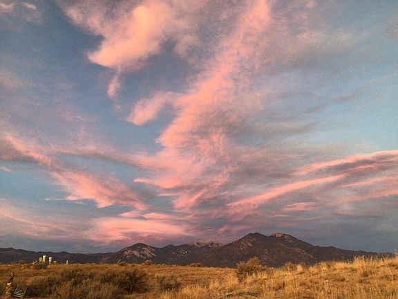 View from the backyard