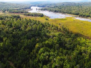 Tm 48 L 125/56 Phelps Rd, Springfield, NH 03284