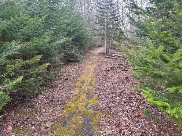 43 Hallsgrove Lane, Bristol, ME 04539