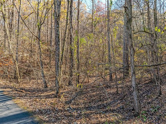5th image of 0 Laurel Lake Cir