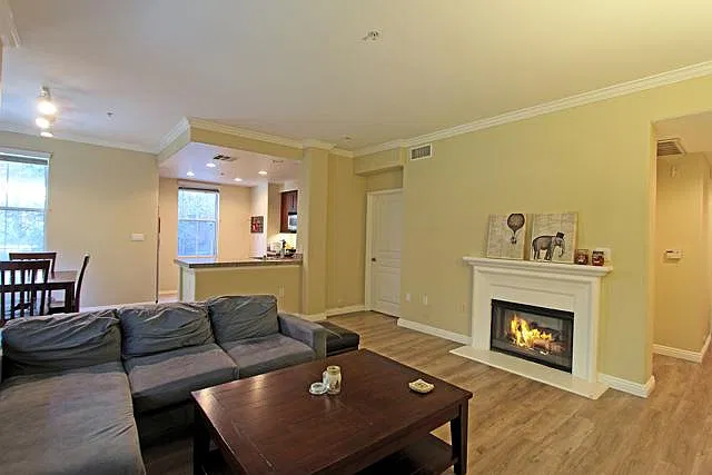 2 bed, 1250 sqft, $3,600 — Photo 4