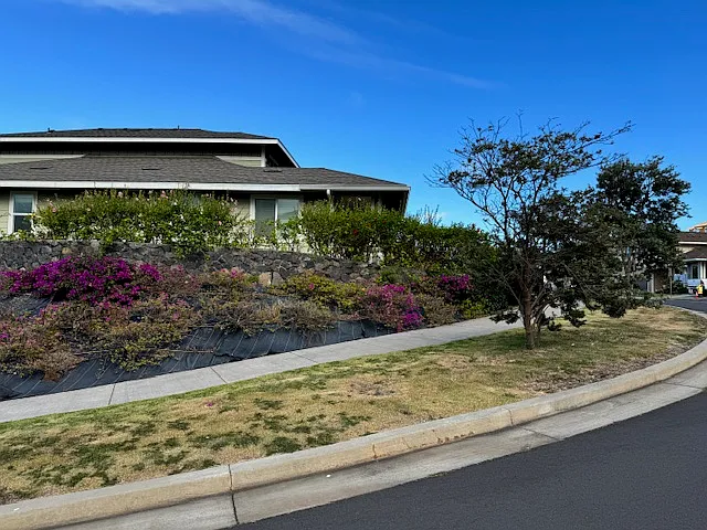 213 Kilioopu St — Photo 5