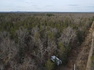 W Twelve Mile Rd, Wellston, MI 49689