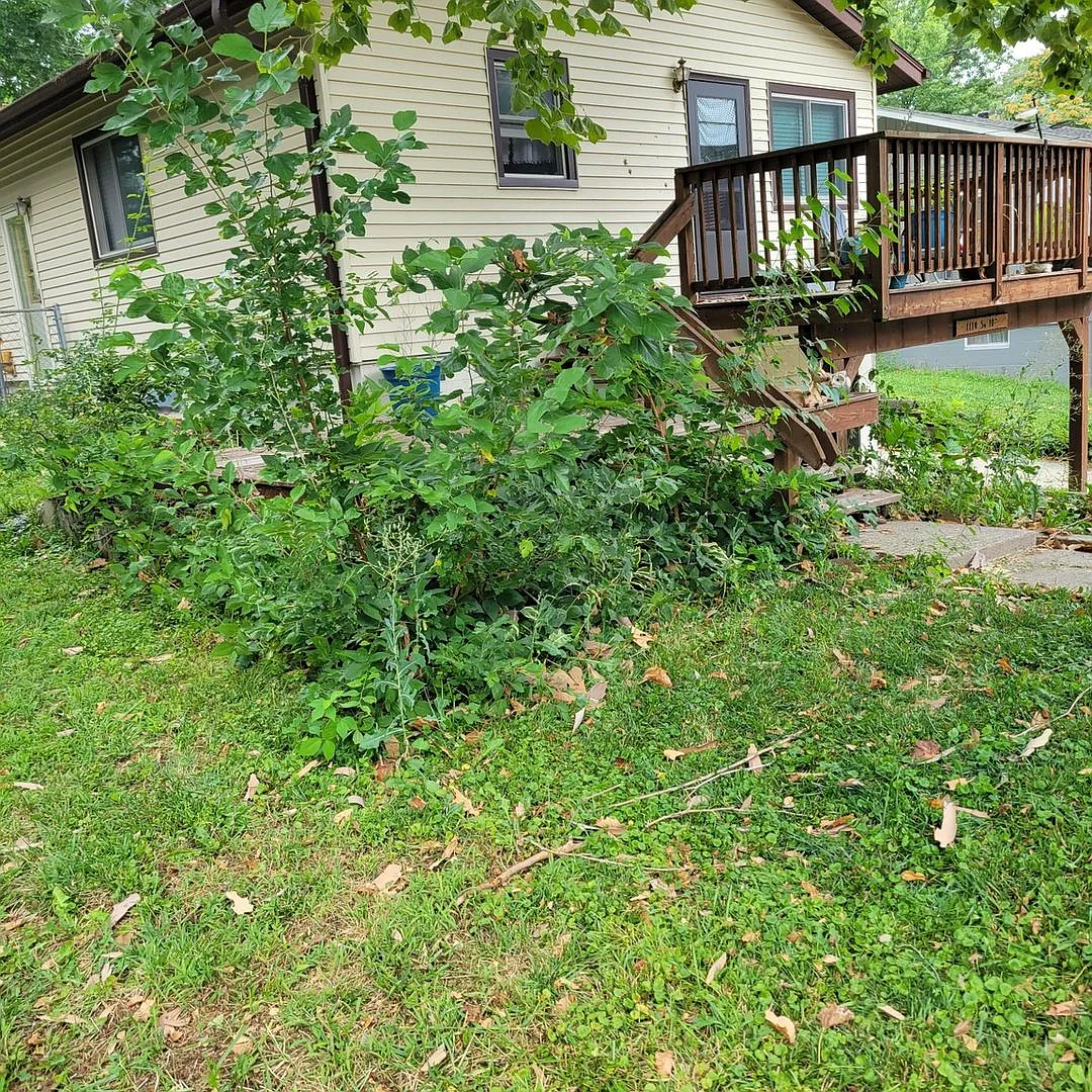 Charming 3BR House in Plattsmouth — Photo 2