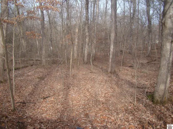 280 Rockcastle Lakeshore Dr, Cadiz, KY 42211