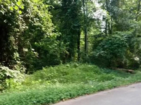 Cole Rd, Campobello, SC 29322