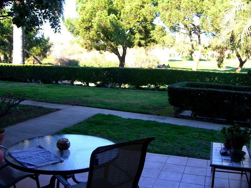 View from back patio