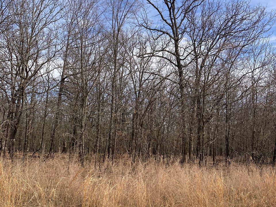 2nd image of 34998 S 540th Rd