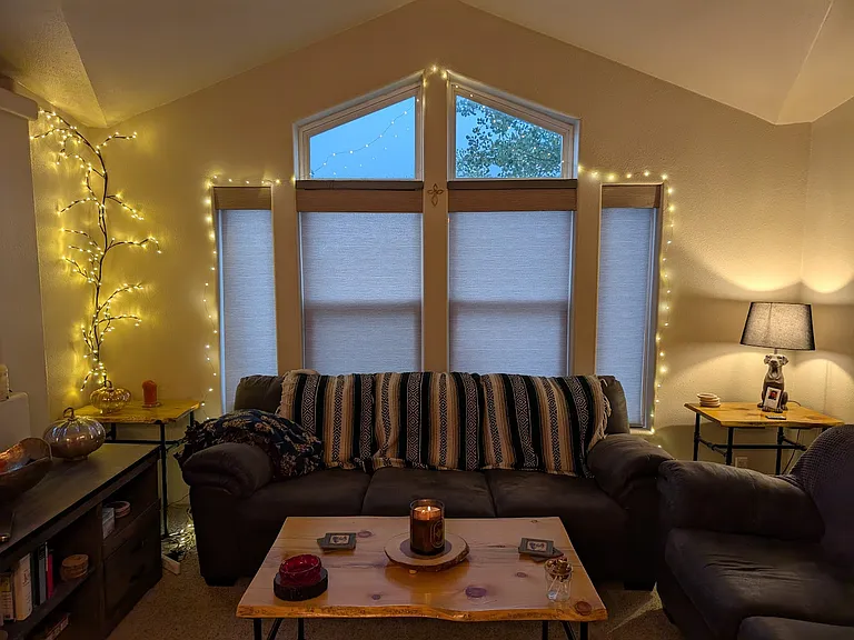 443 Vine Rd — Photo 12