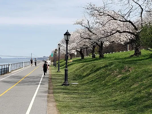 Rented by Cedarbridge Management | media 15