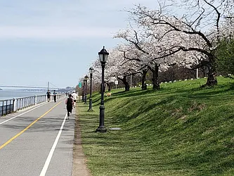 Rented by Cedarbridge Management