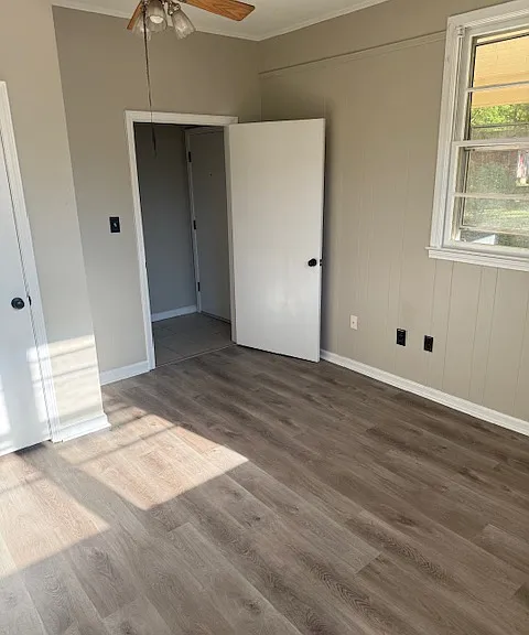 459 Whitehead Rd — Photo 10