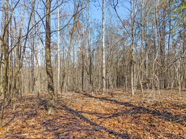 0 Ware Farms Rd, Spring City, TN 37381