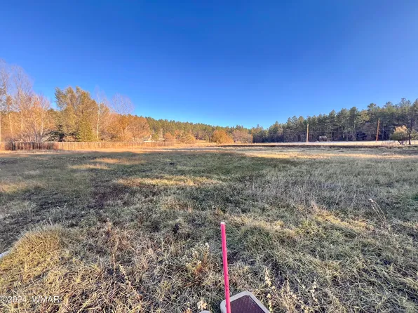 2445 S Jan Ln, Pinetop, AZ 85935