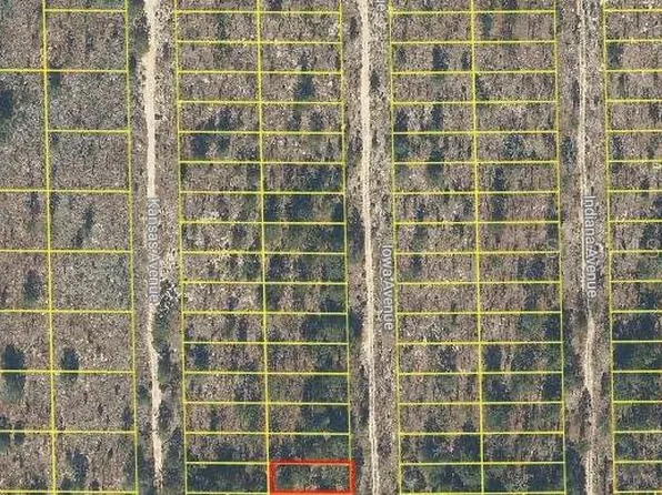 Iowa Avenue Lot #26, Hawthorne, FL 32640