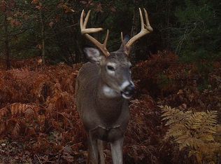 Koenig Rd, Freesoil, MI 49411