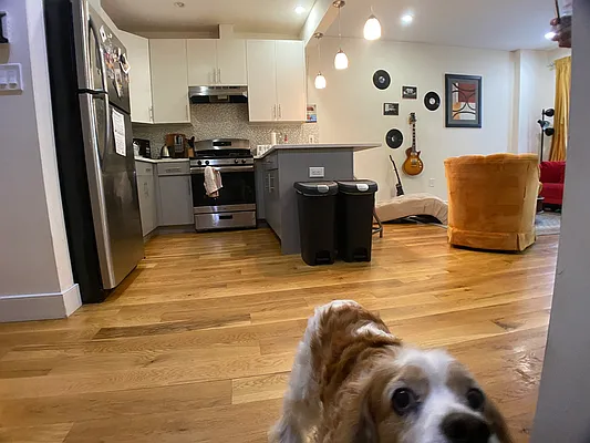 Rented by Highline Residential | media 19