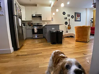 Rented by Highline Residential