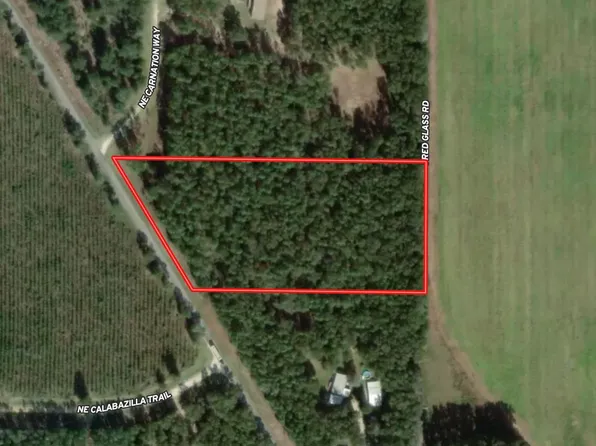 5386 NE Old Blue Springs Rd, Lee, FL 32059