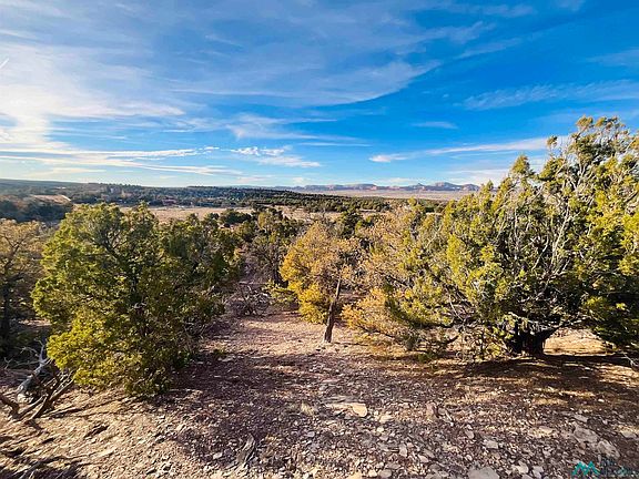 5th image of Palomino Loop