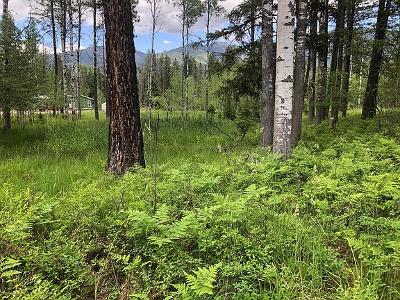 3rd image of Nhn Mountain Estates Dr